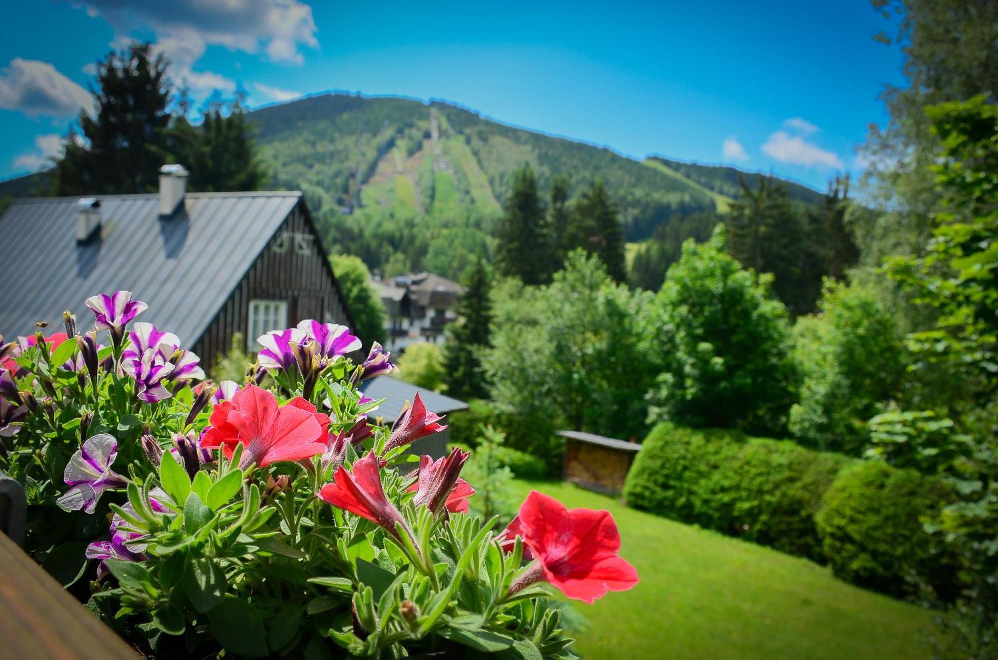 Hotel Friuli 哈拉霍夫 外观 照片